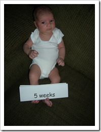 6 Wks 008