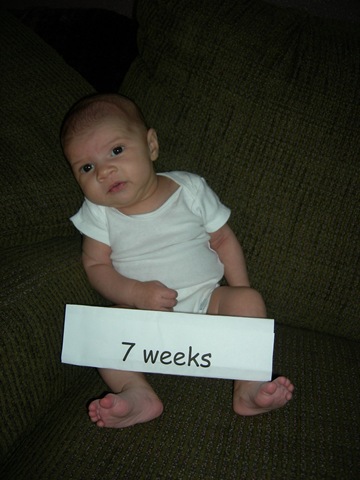 [7 wks 006[3].jpg]