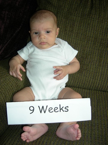 [9 wks 007[3].jpg]