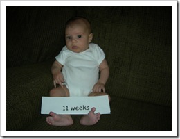 11 weeks 037
