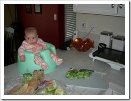 11 weeks 017