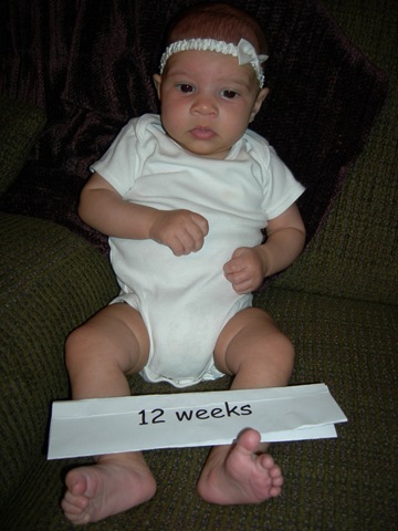 [12weeks0203.jpg]