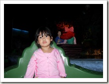 DSCN4466