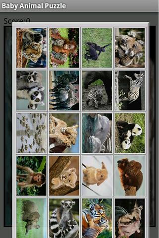 Baby Animals Puzzle