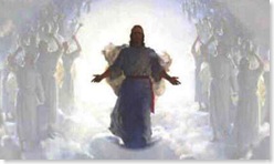 17angel_trumpetsplussombredecoupe