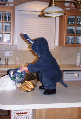 [Halloween - Tyson stealing cookies[4].jpg]