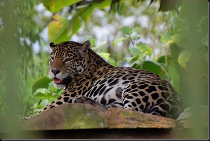 DSC01810 ka