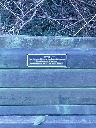 Kevin Memorial Bench