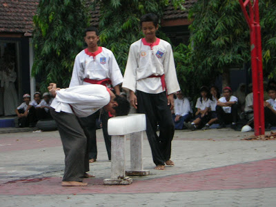 Merpati Putih