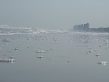 DSC05734.JPG