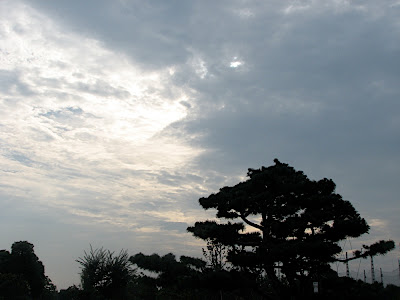这是夕阳还是啥?