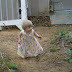 Up the hill and into the woods