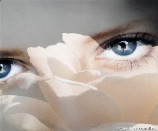[rosa_ojos[2].jpg]