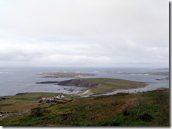 DSC01239