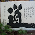 DSCF2382.jpg