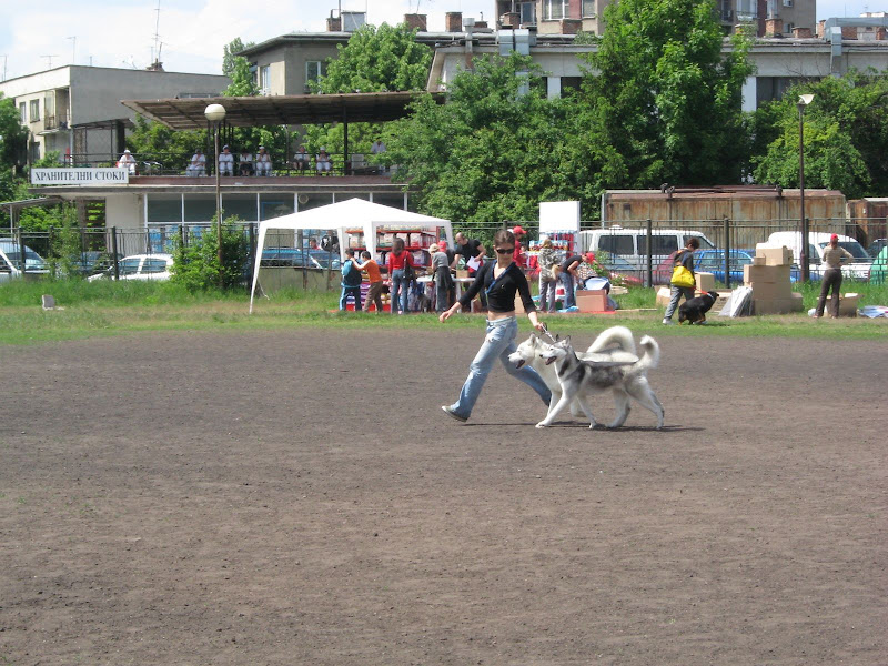 Качена снимка