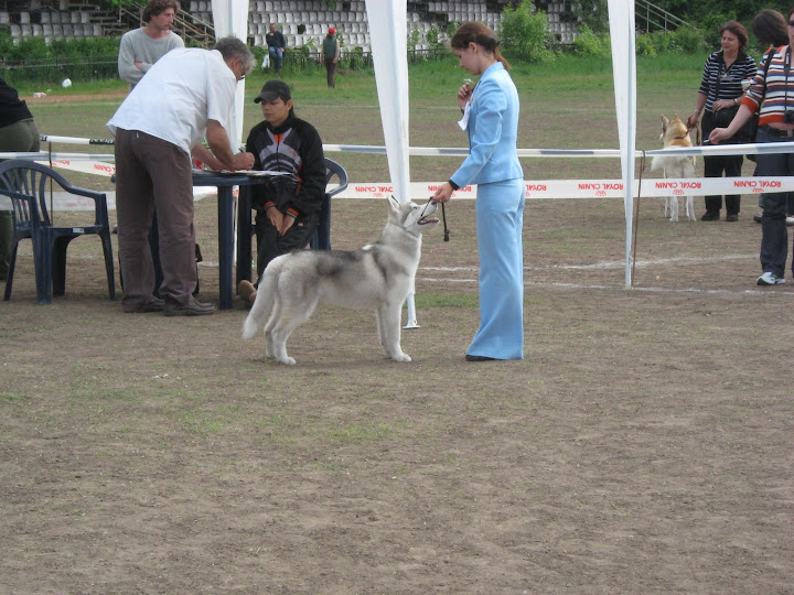Качена снимка