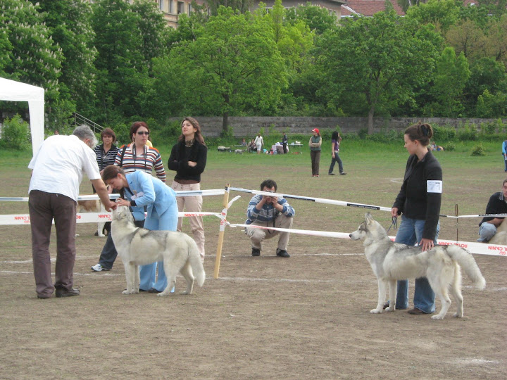 Качена снимка
