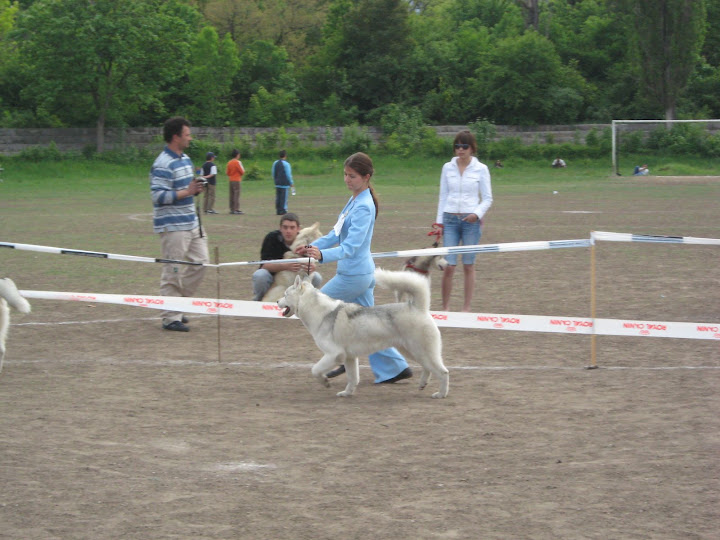 Качена снимка