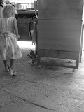 IMG_4408.JPG