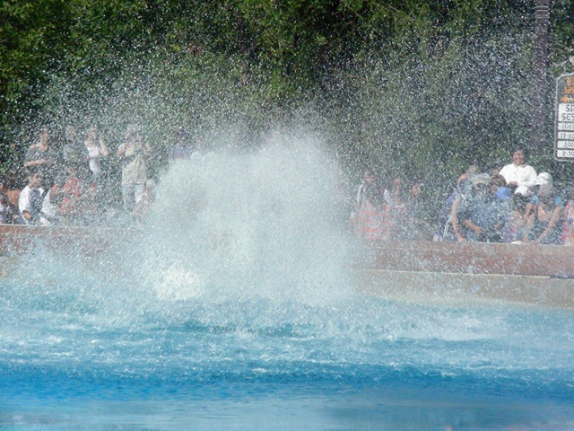 [DSCN28936.jpg]