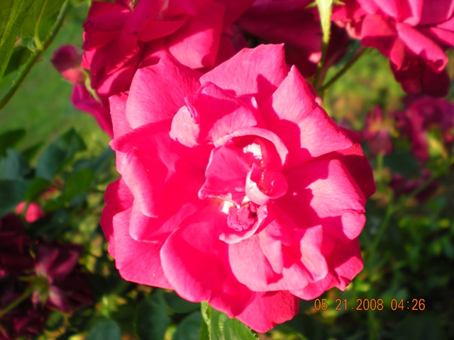 [summer 2008 005[3].jpg]