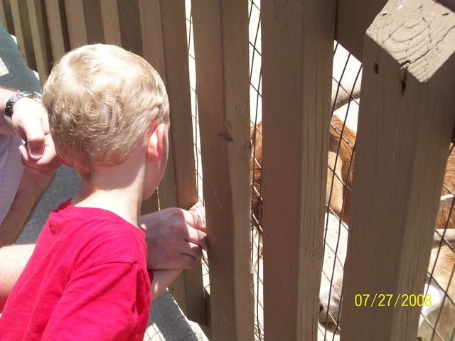 [pioneerdays08 047[3].jpg]