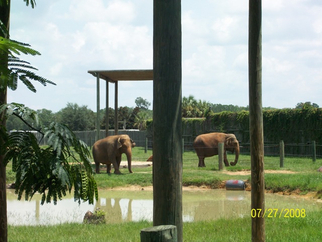 [pioneerdays08 038[3].jpg]