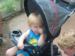 IMG_0341.JPG