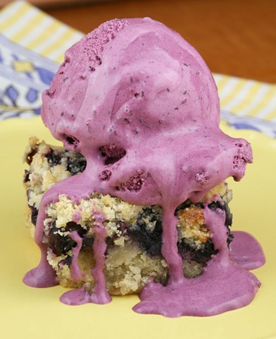 [blueberryicecream3[3].jpg]
