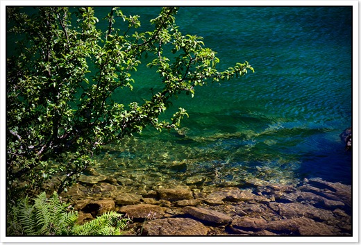 20080715_3503
