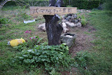 DSC04926.jpg