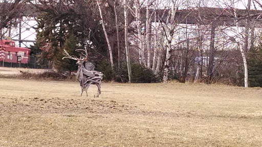 Wooden Deer Sculpture