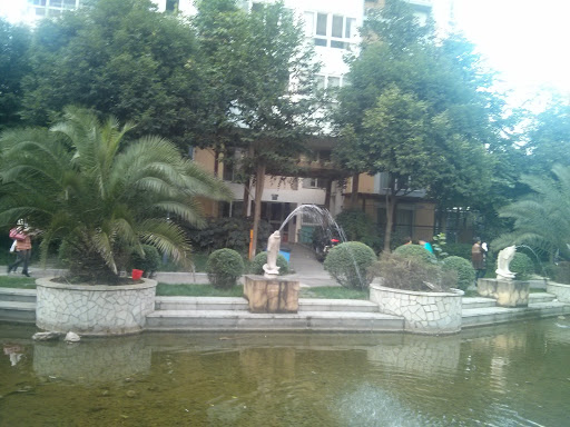 Stone Fish Fountain