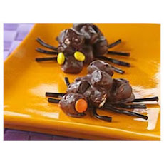 Creepy Crawly Spiders