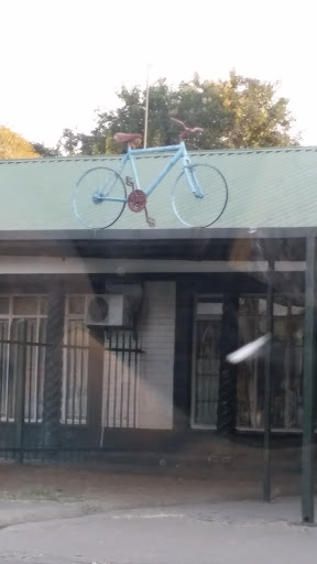 Bicycle on the Roof