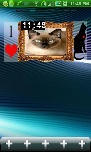 I Luv Cats Widget