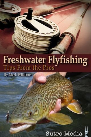 Freshwater Flyfishing Tips