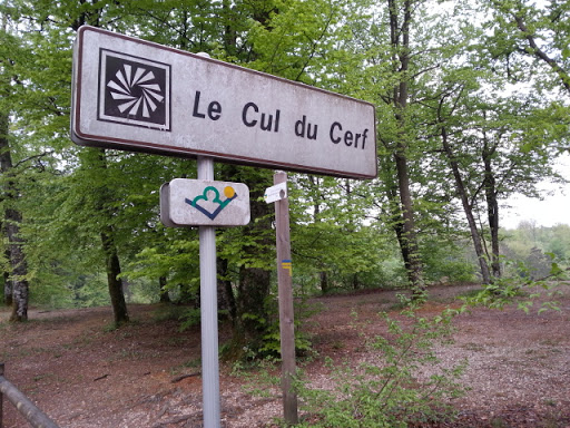 Le Cul Du Cerf