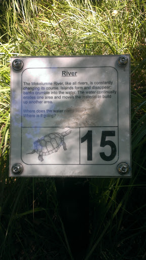 River 15