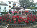 Plaza De Las Flores