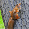 DSC_0008.JPG