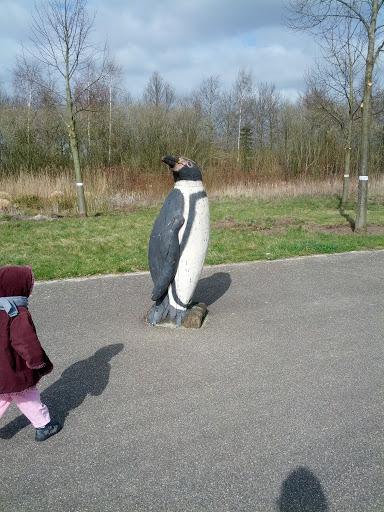 Pinguïn Op Weg Naar De Dierentuin