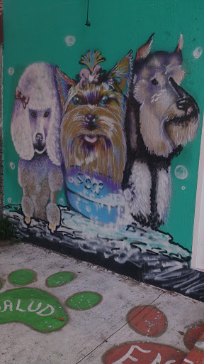 Mural Animal Spa