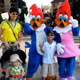 USJ 2008