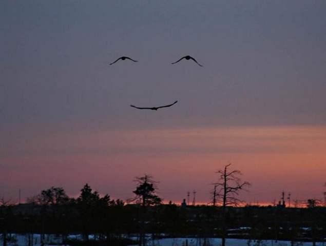 [smile12.jpg]