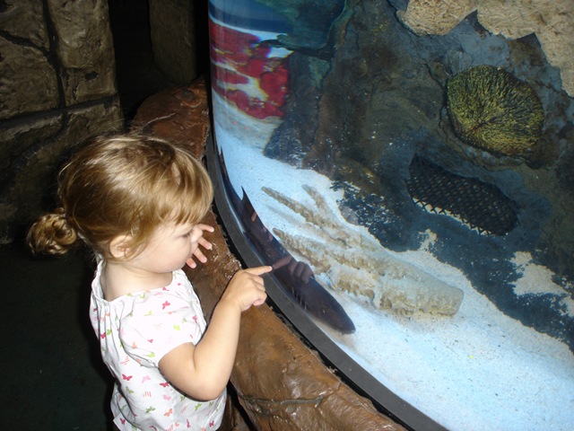 [DSC087833.jpg]
