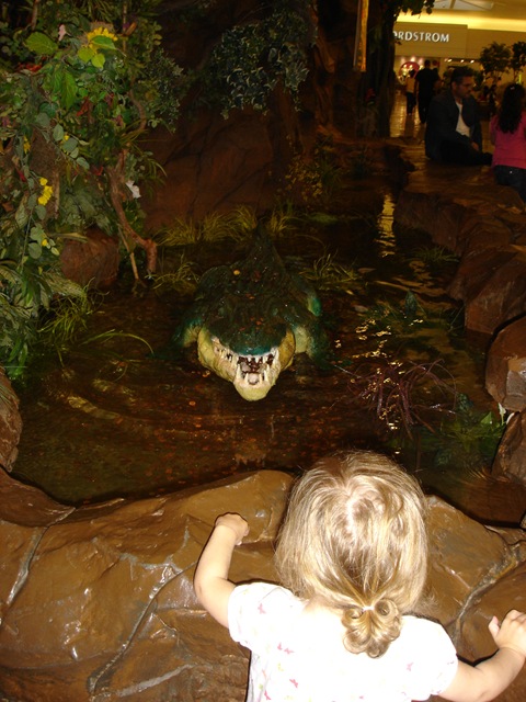 [DSC088044.jpg]