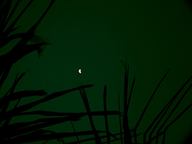 Dark Night and Moon, Tarun Chandel Photoblog