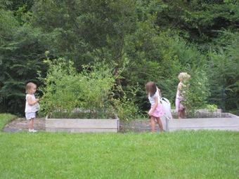 [IMG_23243.jpg]